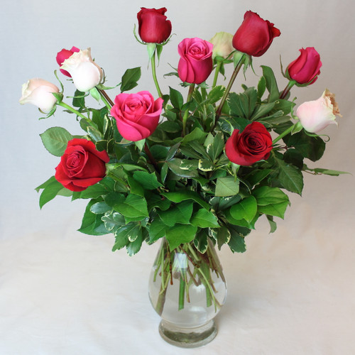 Long Stemmed Mixed Roses