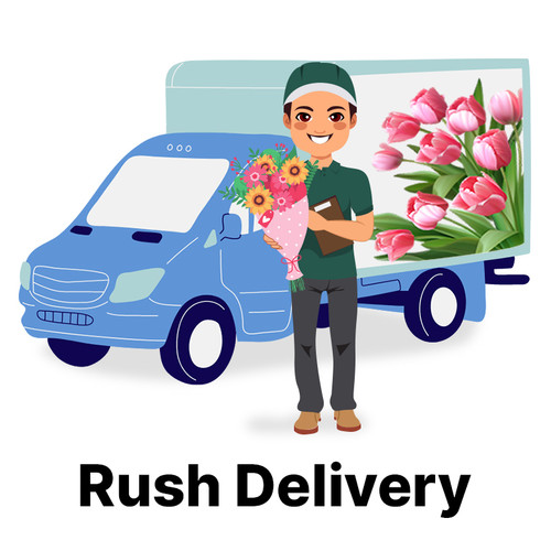 Rush Delivery